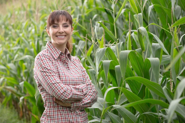 Uśmiechnięty farmer pozowanie w polu kukurydzy — Zdjęcie stockowe