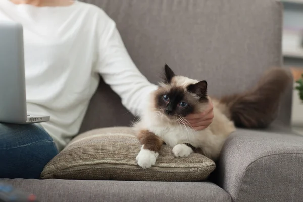 Kadın onu kedi sarılma — Stok fotoğraf