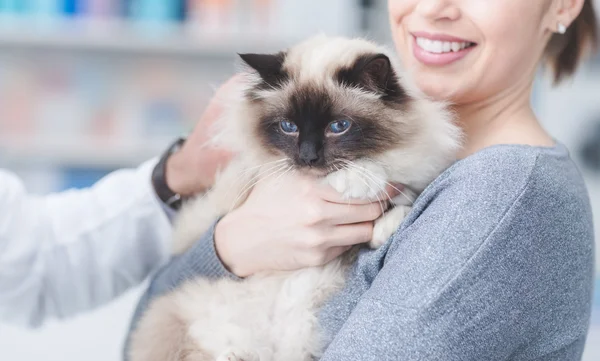Жінка з котом у ветеринарній клініці — стокове фото