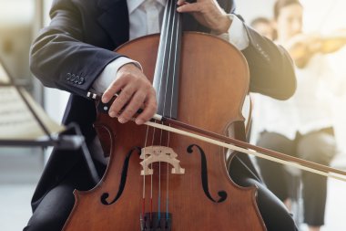Professional cello player clipart