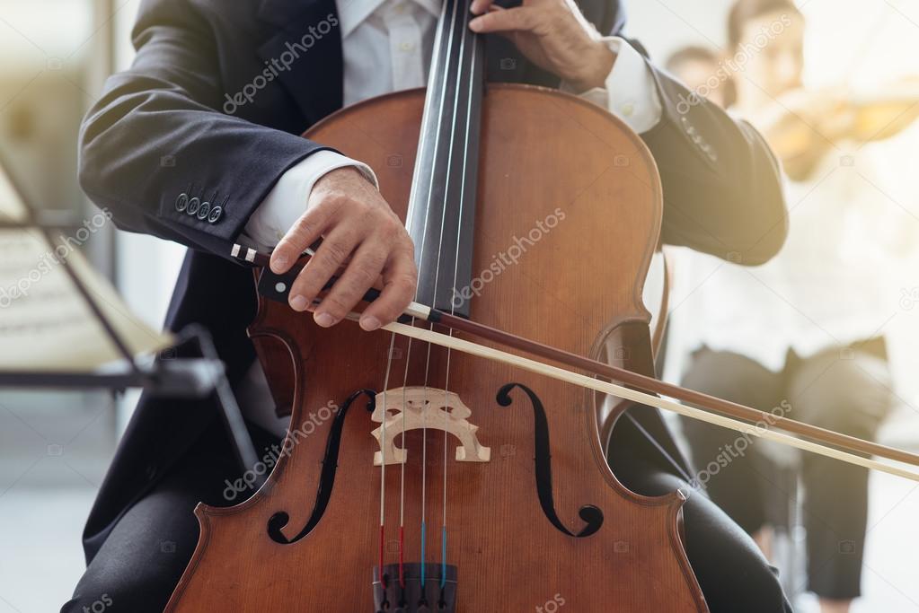 Professional cello player
