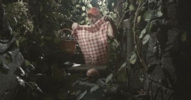 Turist ormanda piknik hazırlıyor.