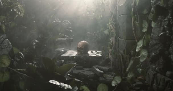 Mänsklig skalle och forntida ruiner i djungeln — Stockvideo