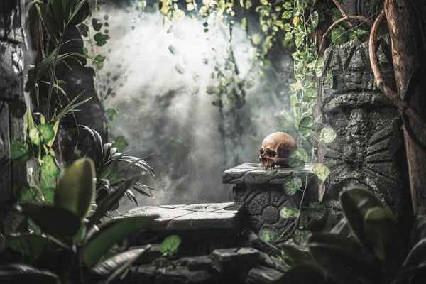 Human Skull Ancient Ruins Jungle Exploration Adventure Concept — Stock Photo, Image