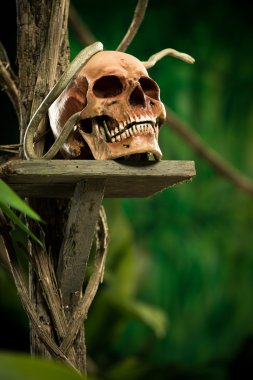 ormanda vahşi doğada uyarı