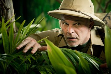 maceraperest bitkiler ile bakmak