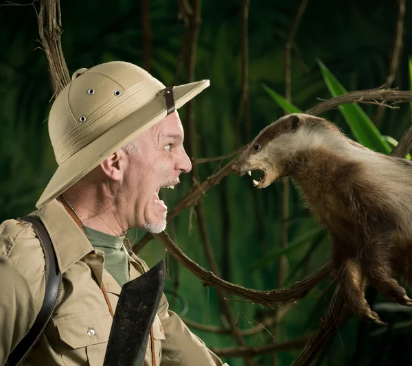 Dangerous meeting in the forest — Stock Photo, Image