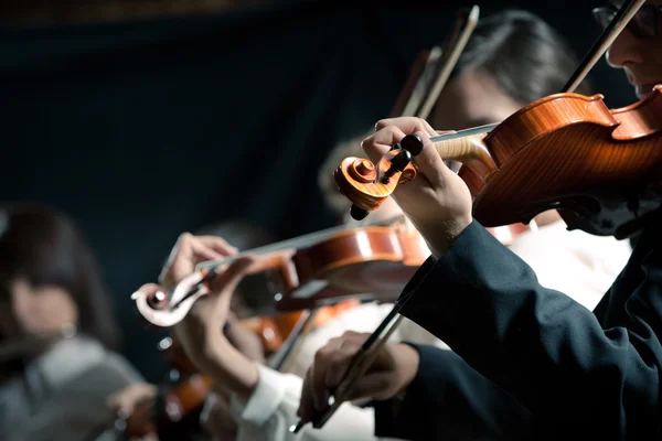 Symphony orchestra violinists performing — Stock Photo, Image