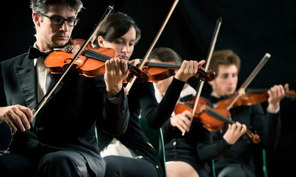 Orchestra per violino che esegue — Foto Stock