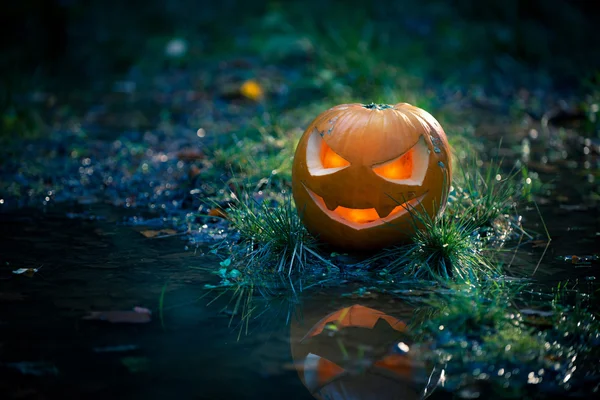 Calabaza espeluznante junto a un arroyo de agua — Foto de Stock