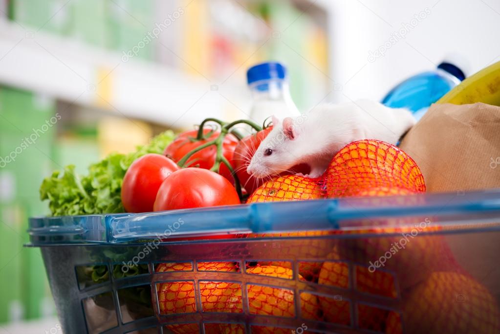 Cute mouse on full shopping cart