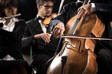 Symphony orchestra: cello player close-up clipart