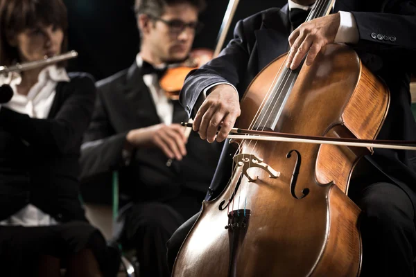 Συμφωνική Ορχήστρα: τσέλο παίκτης close-up — Φωτογραφία Αρχείου