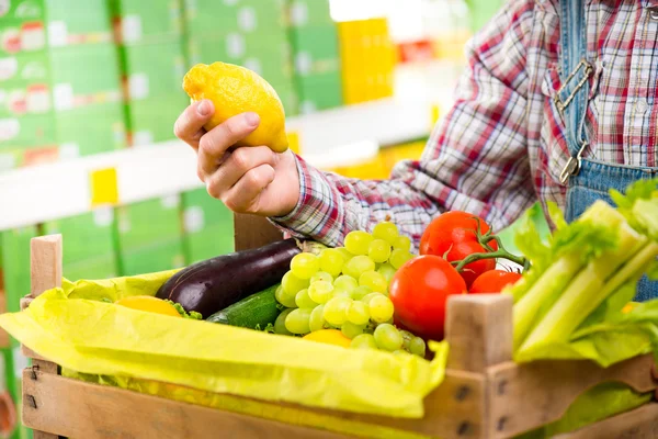 Raccolta fresca dell'agricoltore — Foto Stock