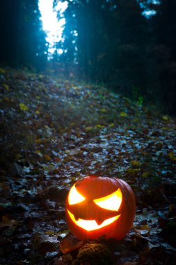 Cadılar Bayramı geliyor!