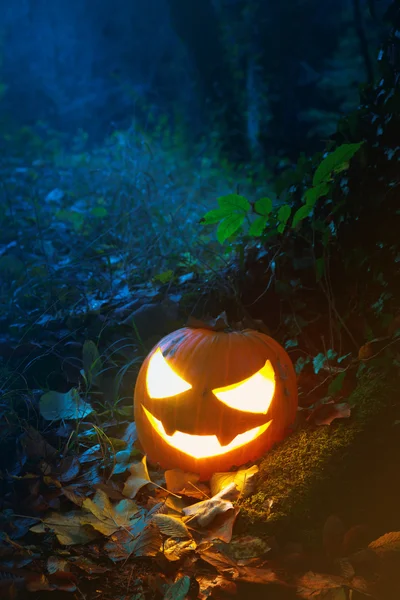 Glooming lanterna di Halloween nella foresta — Foto Stock