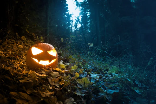 Halloween nacht komt! — Stockfoto