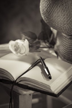 kalemle açık kitap