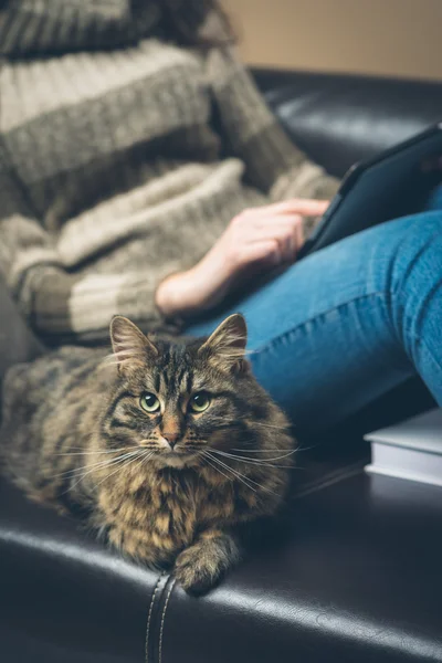 Mujer relajante en sofá con gato — Foto de Stock