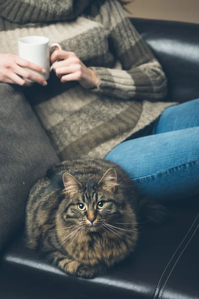 Mladá žena s její kočka — Stock fotografie