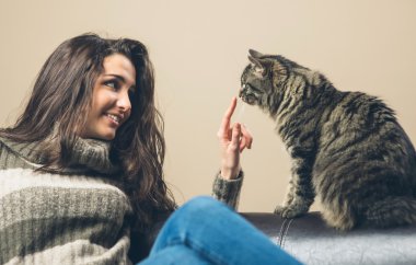 bir kedi ile oynarken kadın