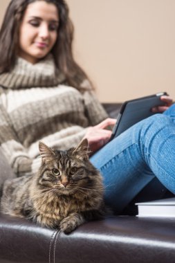 Kadın ile kedi kanepede rahatlatıcı