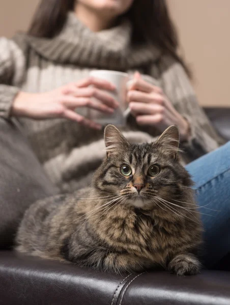 Junge Frau mit ihrer Katze — Stockfoto