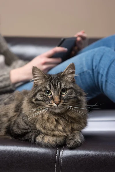 Frau entspannt sich auf einem Sofa — Stockfoto