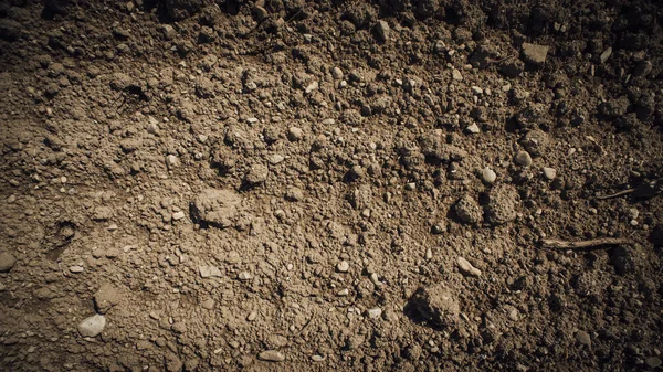 Solo de húmus fértil no campo agrícola — Fotografia de Stock