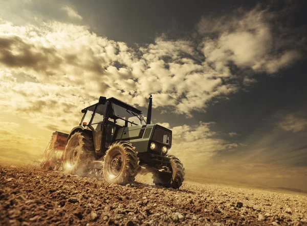 Agricultor en el campo conduciendo un tractor —  Fotos de Stock