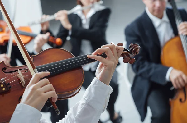 Classical orchestra string section performing — Stock Photo, Image