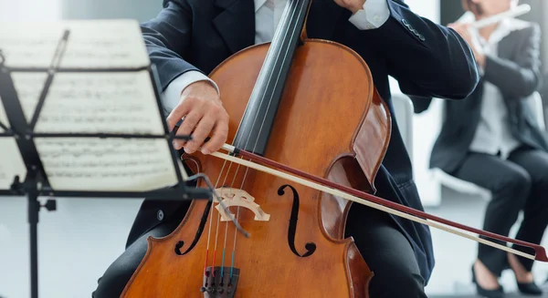 Степан хаузер. Контрабасист степан хаузер. Контрабас. Виолончель. Виолончель.