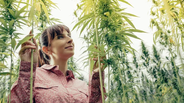 Smiling young woman in a hemp garden — Stock Photo, Image