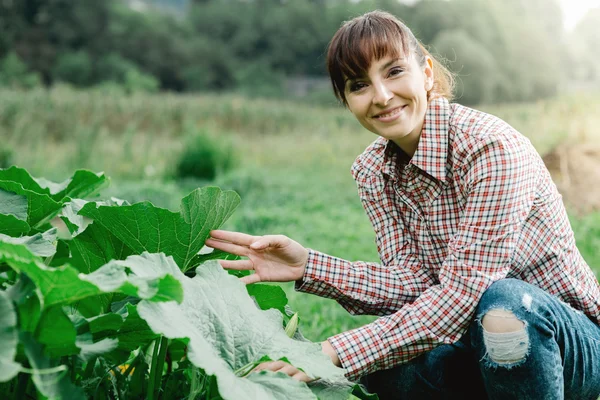 Gardener posing with plants — Stock Photo, Image