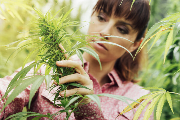 Woman holding hemp flowers