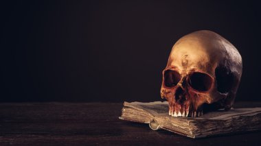 Kafatasında açık antik kitap