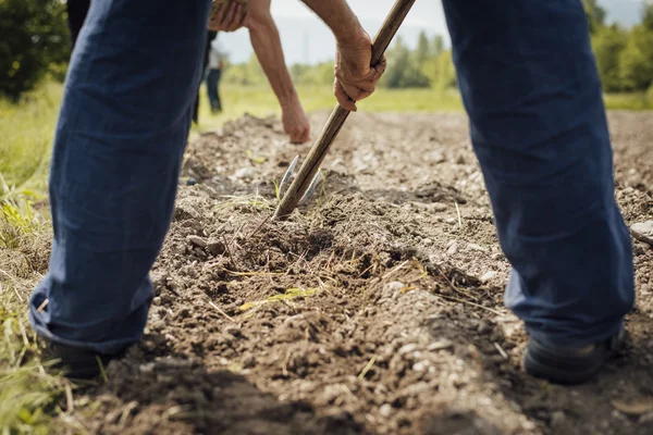 Exploitant agricole travaillant dans les champs — Photo