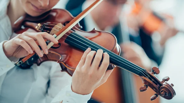 Violinista che suona con orchestra — Foto Stock