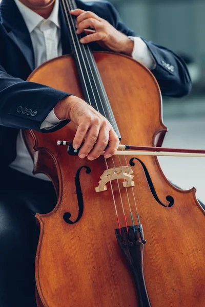 Professionell cellist utför — Stockfoto
