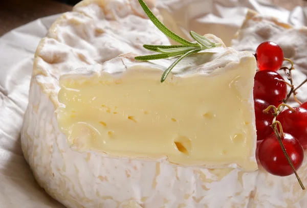 Weißer Camembert — Stockfoto