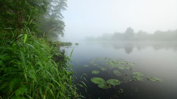 Tiro Aéreo Dron Del Río Natural — Vídeos de Stock