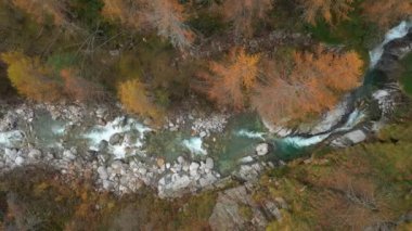 Doğal nehrin insansız hava görüntüsü.