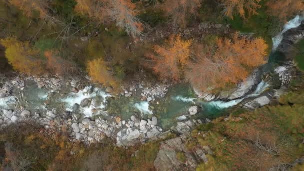 Tiro Aéreo Dron Del Río Natural — Vídeos de Stock