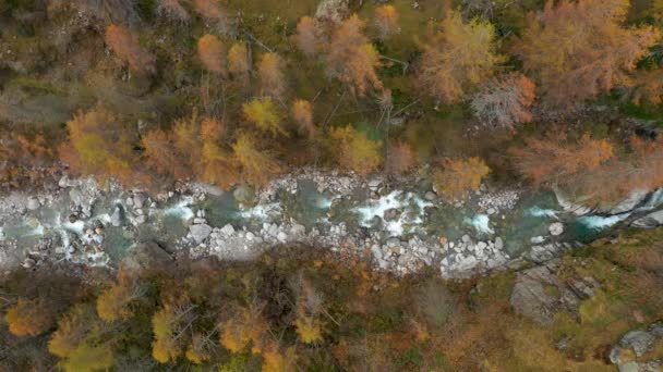 Tiro Aéreo Dron Del Río Natural — Vídeos de Stock