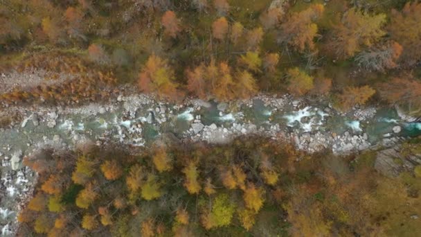 Tiro Aéreo Dron Del Río Natural — Vídeos de Stock