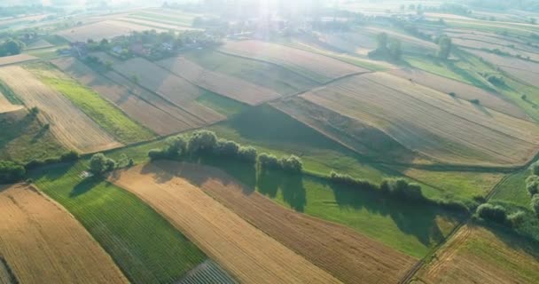 秋の田園風景の空中風景 — ストック動画