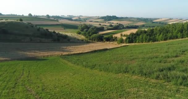 Vista Aérea Paisagem Rural Durante Outono — Vídeo de Stock