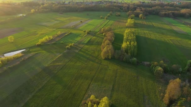 Vista Aérea Paisagem Rural Durante Outono — Vídeo de Stock