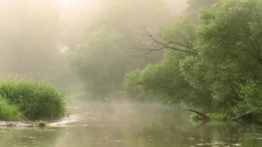 Doğal nehrin insansız hava görüntüsü.