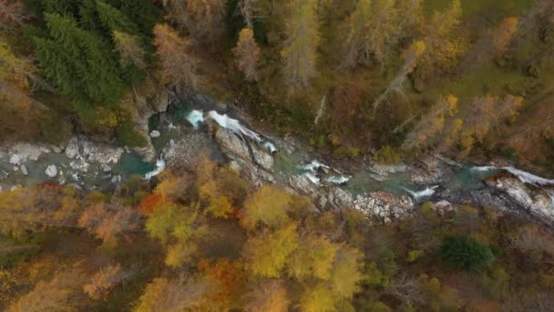 Drone Tiro Aéreo Rio Natural — Vídeo de Stock